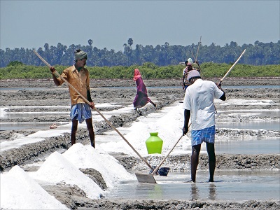 Marakkanam aquaculture center